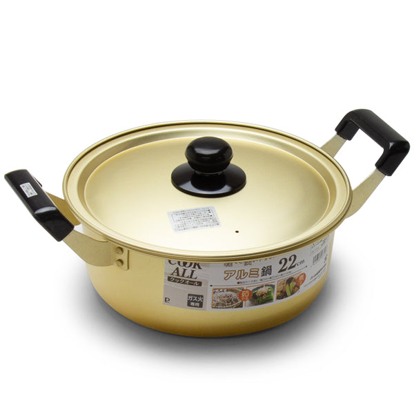 HB-6609 | 22cm POT with 2 handle