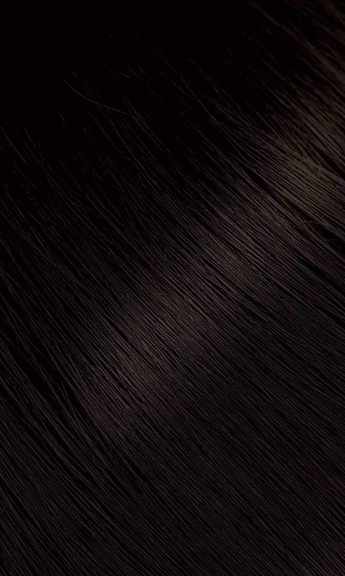 BIGEN OV-K5HM-VUA3 | #48 Dark Chestnut Bigen Permanent Powder - 12 Pack