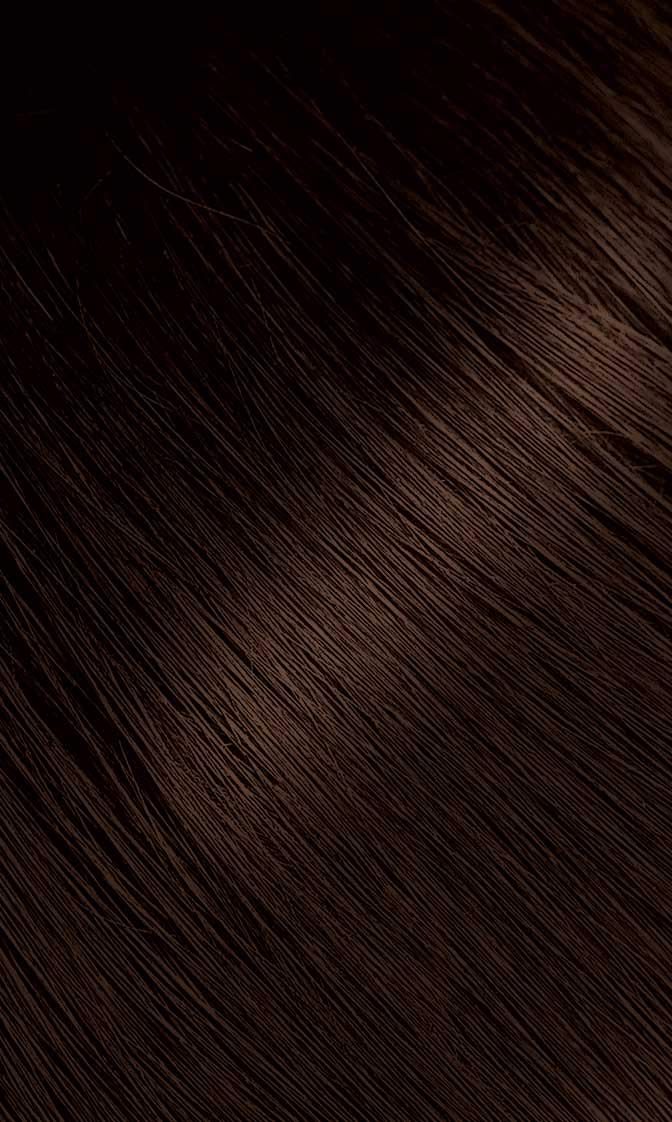 BIGEN  8L-2C9Z-SKV0 | #46 Light Chestnut Bigen Permanent Powder - 12 Pack